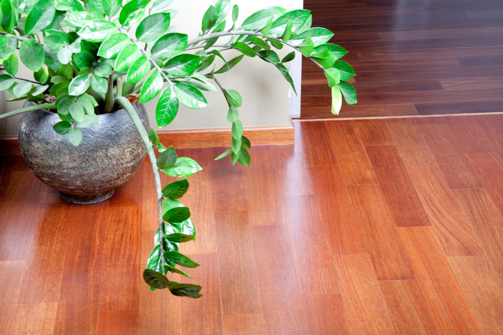 Frisch verlegtes Laminat das sich setzt